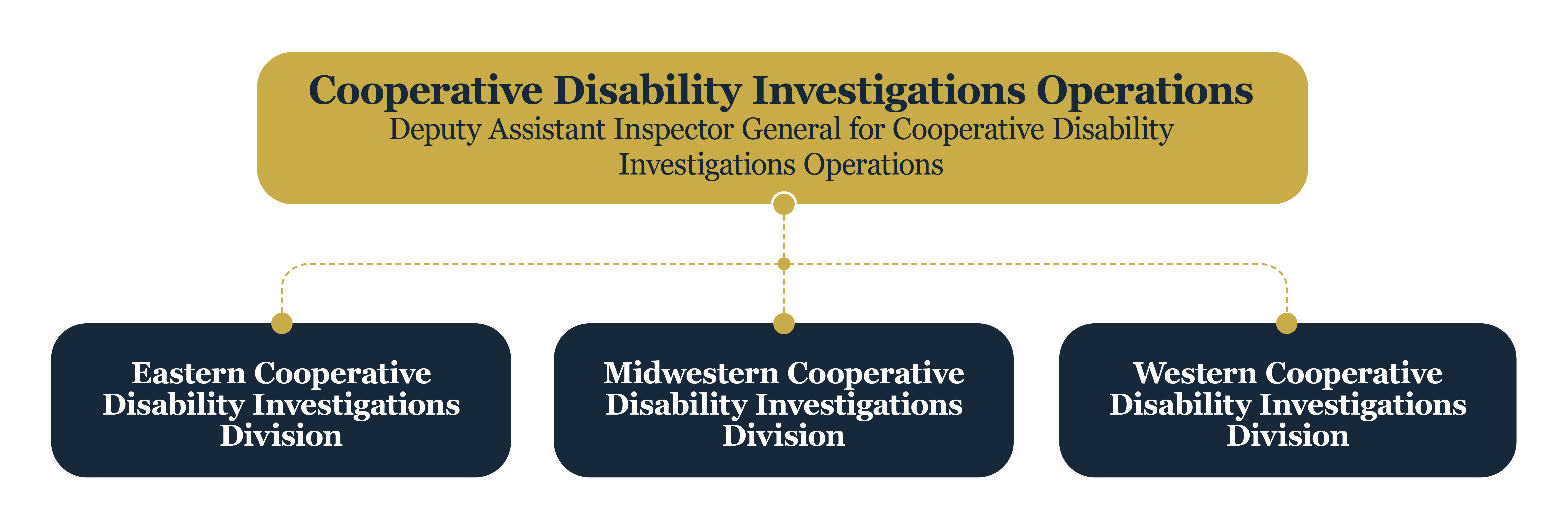 cooperative disability investigations operations