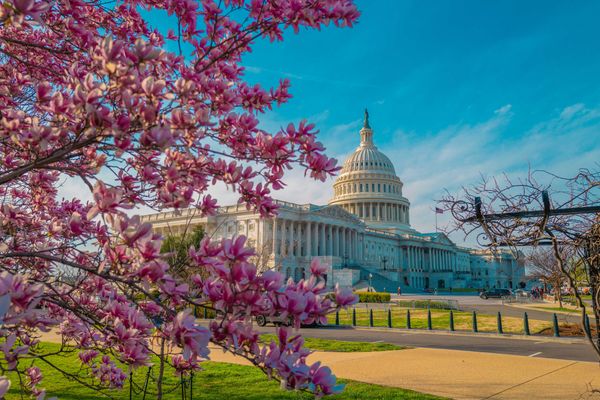 Image of the capitol building